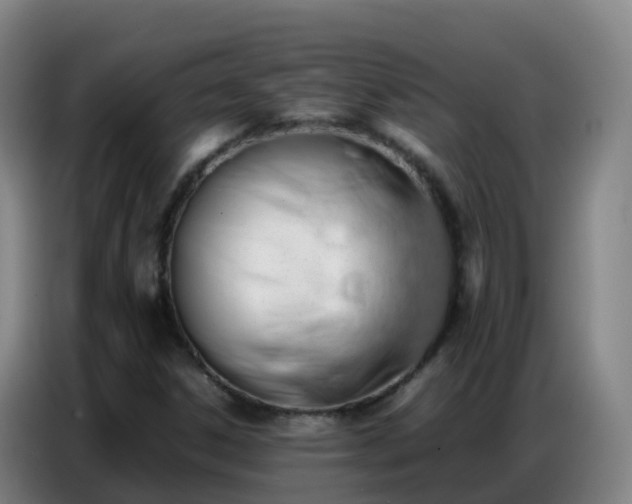 X0000086741306200704201658