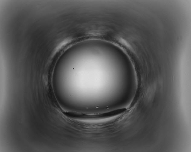 X0000086741307200704201658