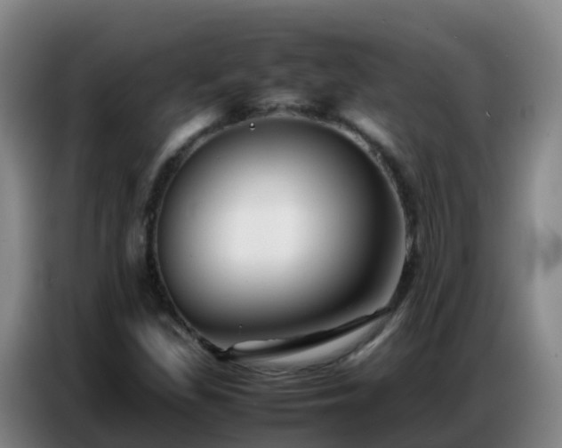 X0000086741309200704201658