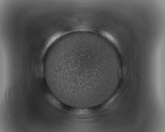 X0000086741310200704201658