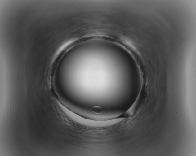 X0000086741312200704201658