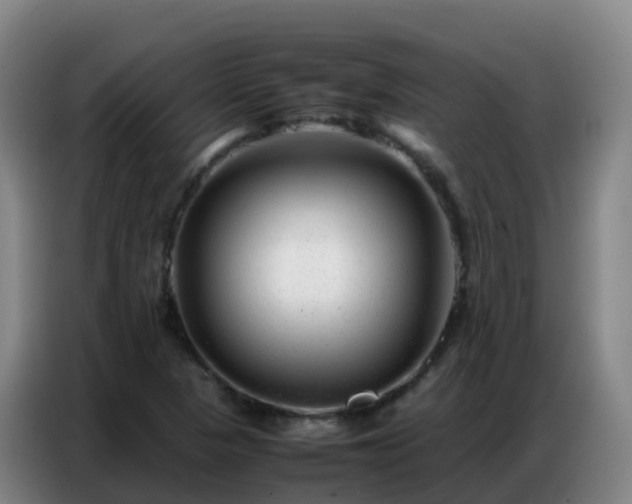 X0000086741313200704201658