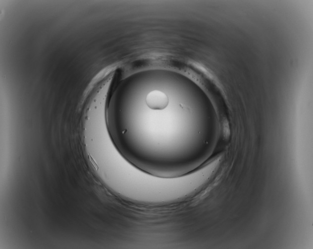 X0000086741314200704201658