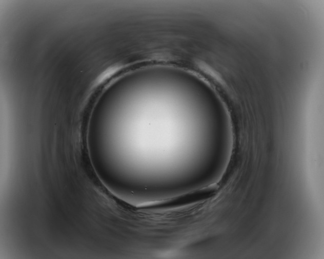 X0000086741315200704201658