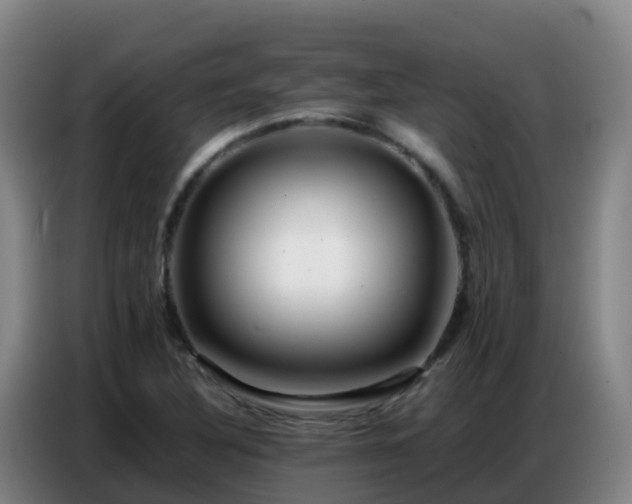 X0000086741316200704201658