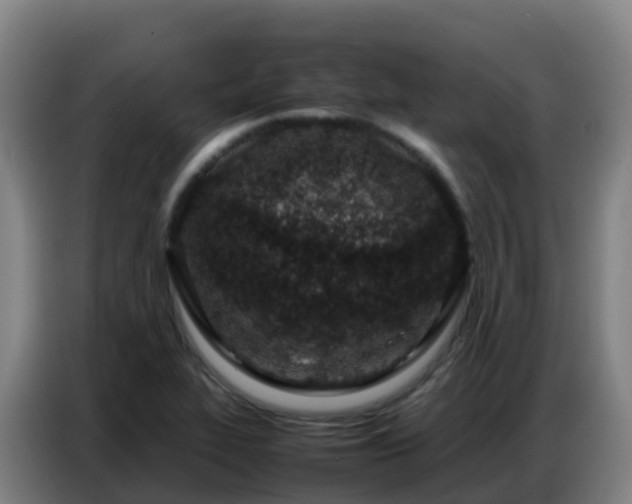 X0000086741319200704201658