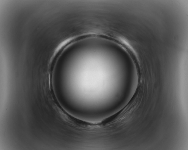 X0000086741320200704201658