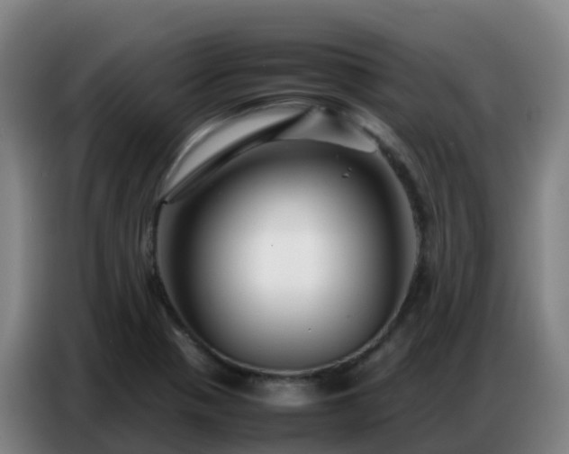 X0000086741321200704201658