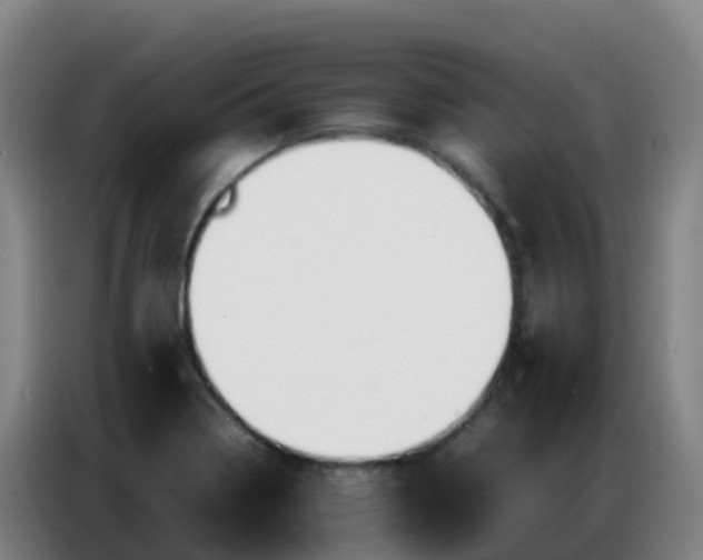 X0000086741322200704201658