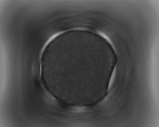 X0000086741323200704201658