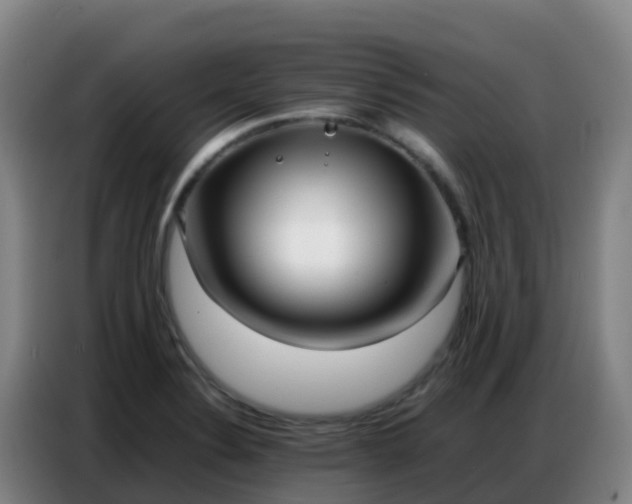X0000086741324200704201658