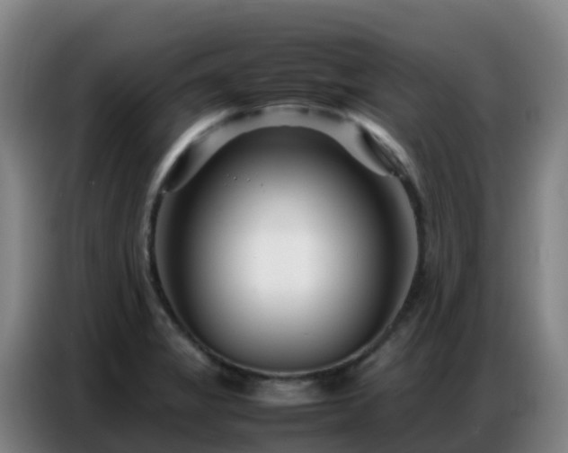 X0000086741325200704201658