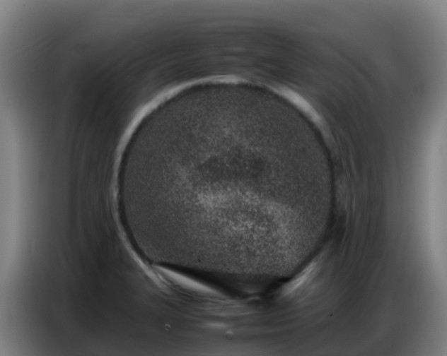 X0000086741327200704201658