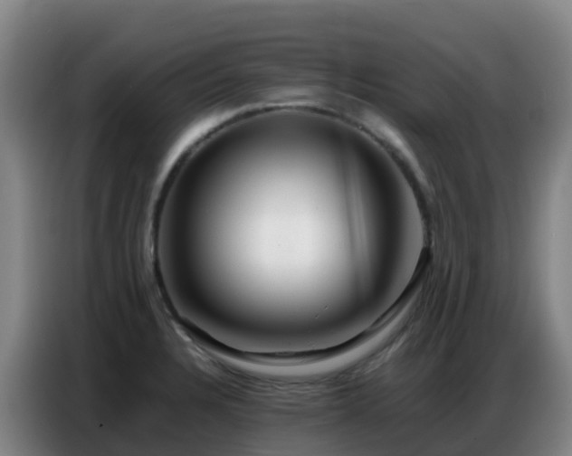 X0000086741328200704201658