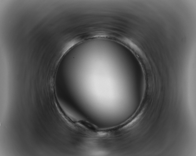 X0000086741329200704201658