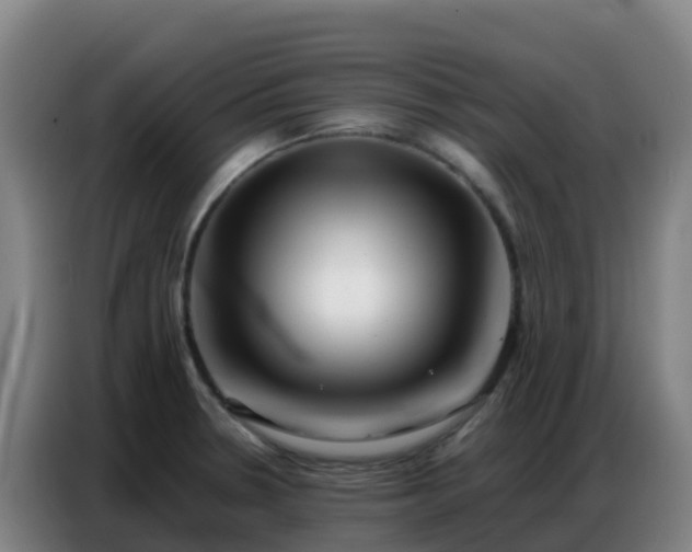 X0000086741330200704201658