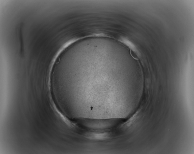 X0000086741331200704201658