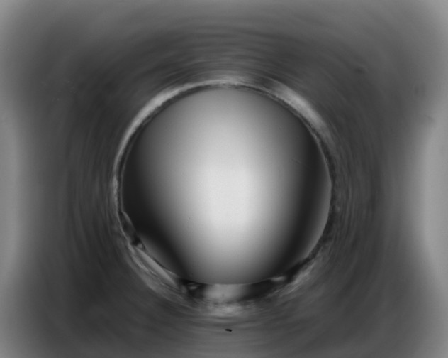X0000086741332200704201658