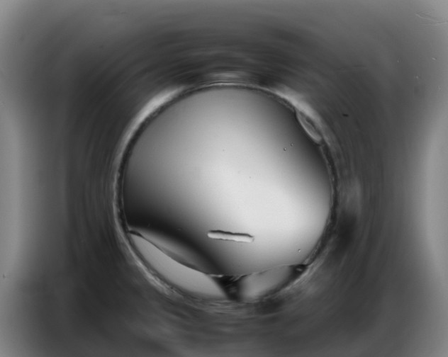 X0000086741333200704201658