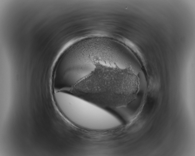 X0000086741334200704201658