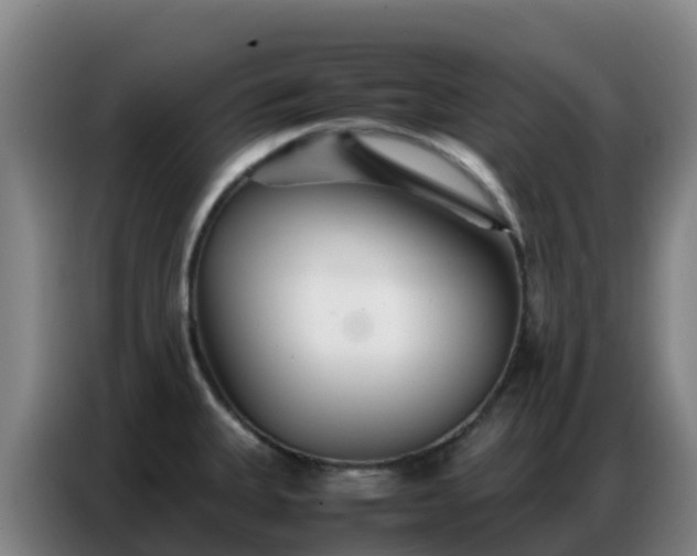 X0000086741335200704201658