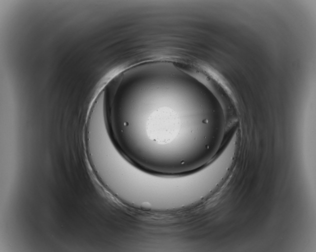 X0000086741338200704201658