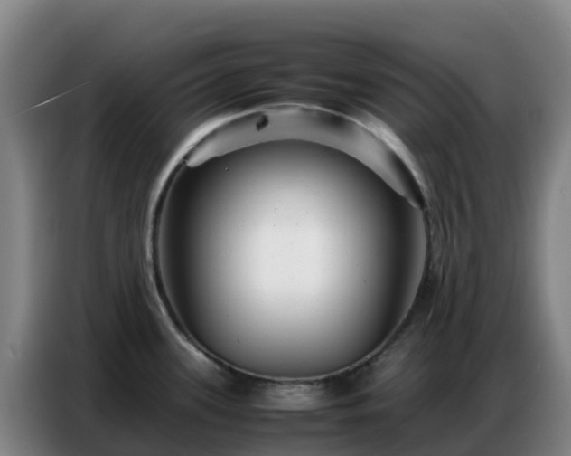 X0000086741339200704201658
