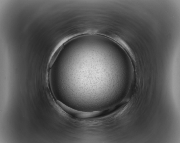 X0000086741340200704201658