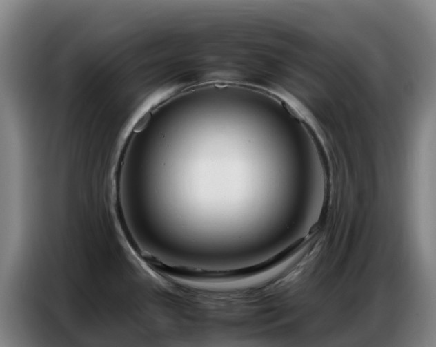 X0000086741341200704201658
