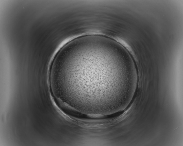 X0000086741342200704201658