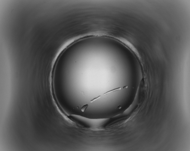 X0000086741343200704201658