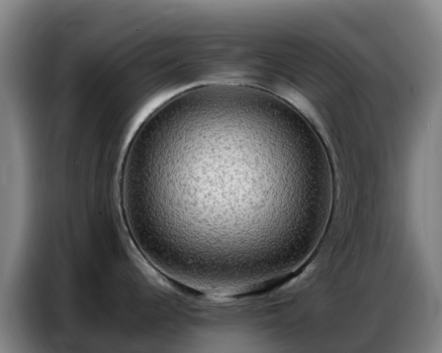 X0000086741344200704201658