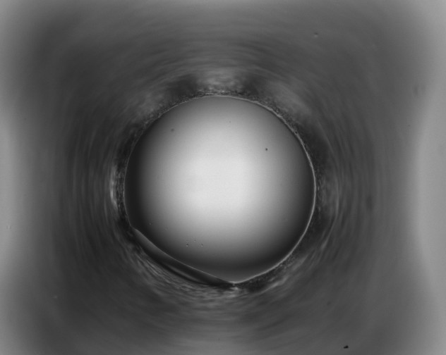X0000086741346200704201658