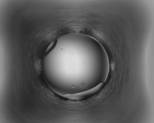 X0000086741347200704201658