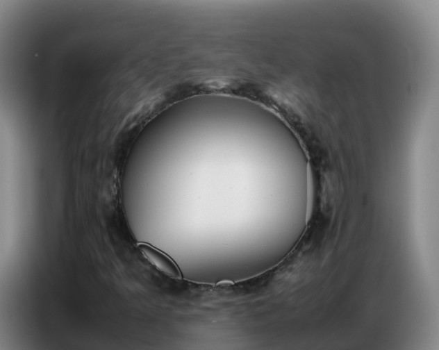 X0000086741349200704201657