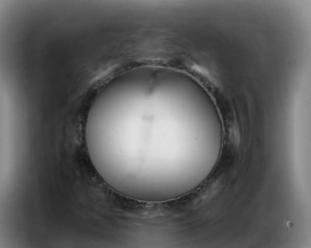 X0000086741350200704201657