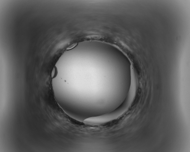 X0000086741351200704201657
