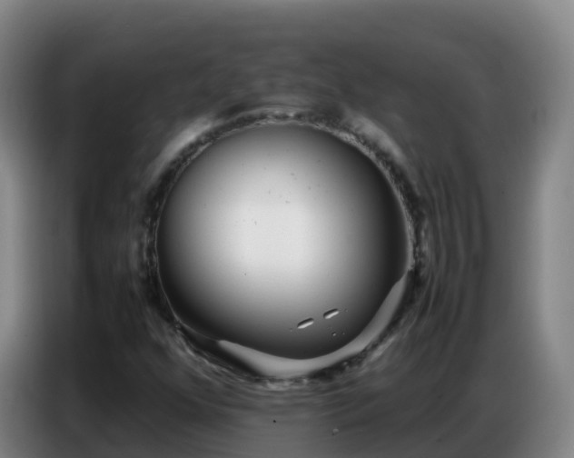 X0000086741352200704201657