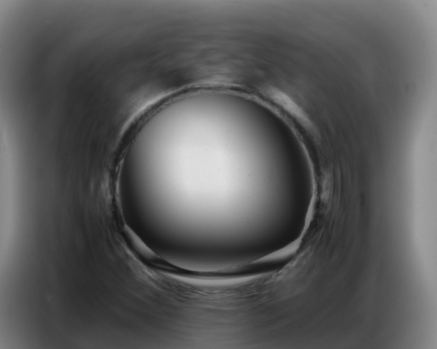X0000086741356200704201657