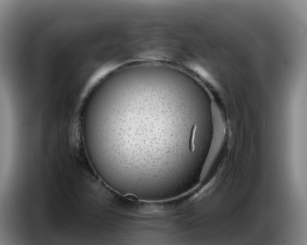 X0000086741358200704201657