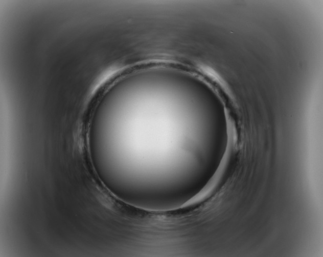 X0000086741360200704201657