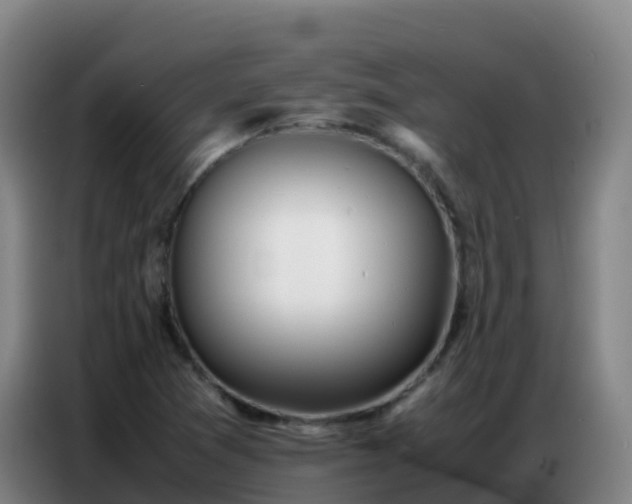 X0000086741361200704201657