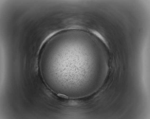 X0000086741364200704201657