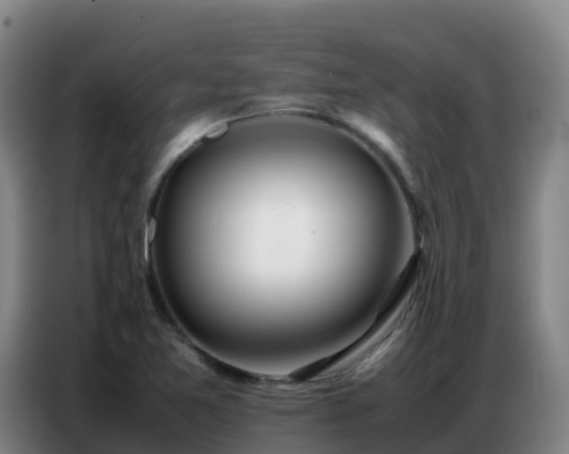X0000086741365200704201657