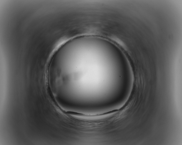 X0000086741366200704201657