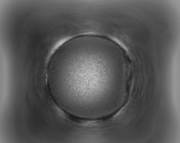 X0000086741367200704201657