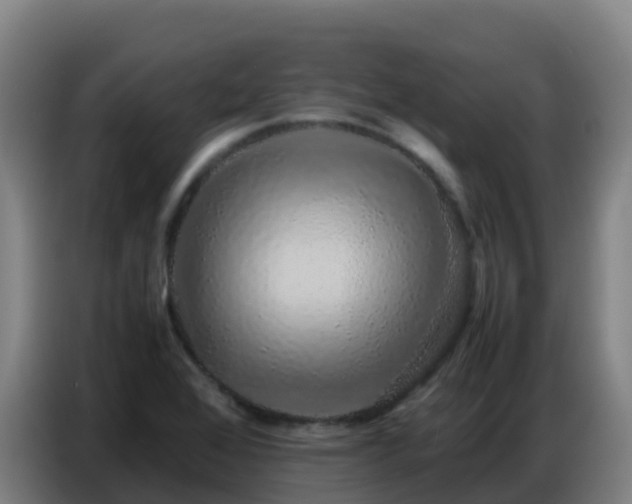 X0000086741368200704201657