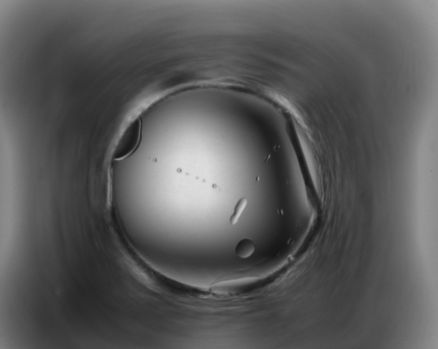 X0000086741371200704201657