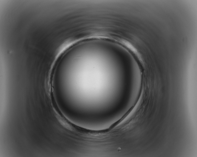 X0000086741372200704201657