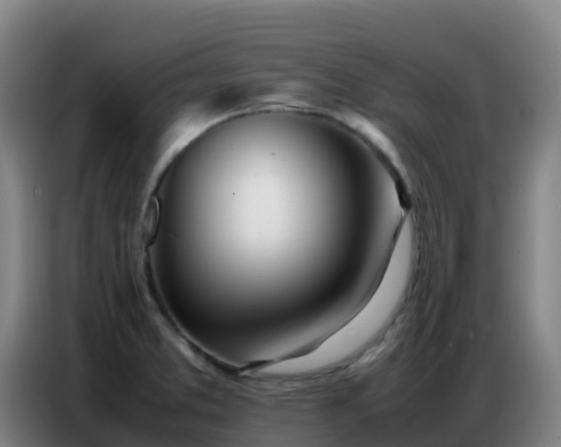 X0000086741373200704201657